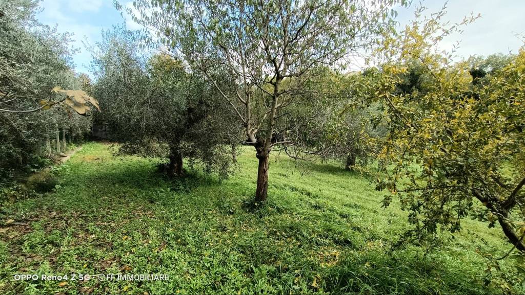 immagine annuncio 7 di 14