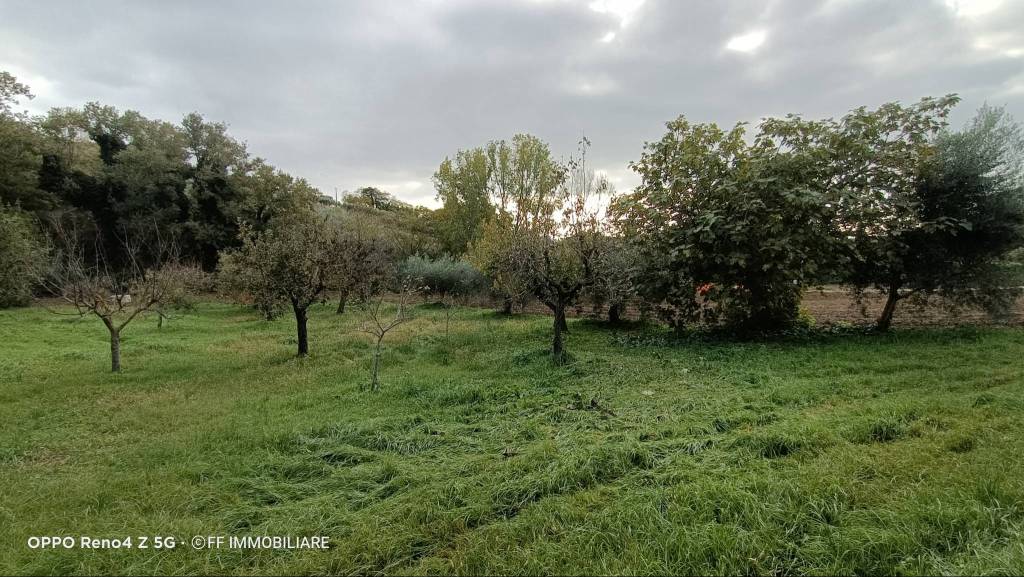 immagine annuncio 8 di 14