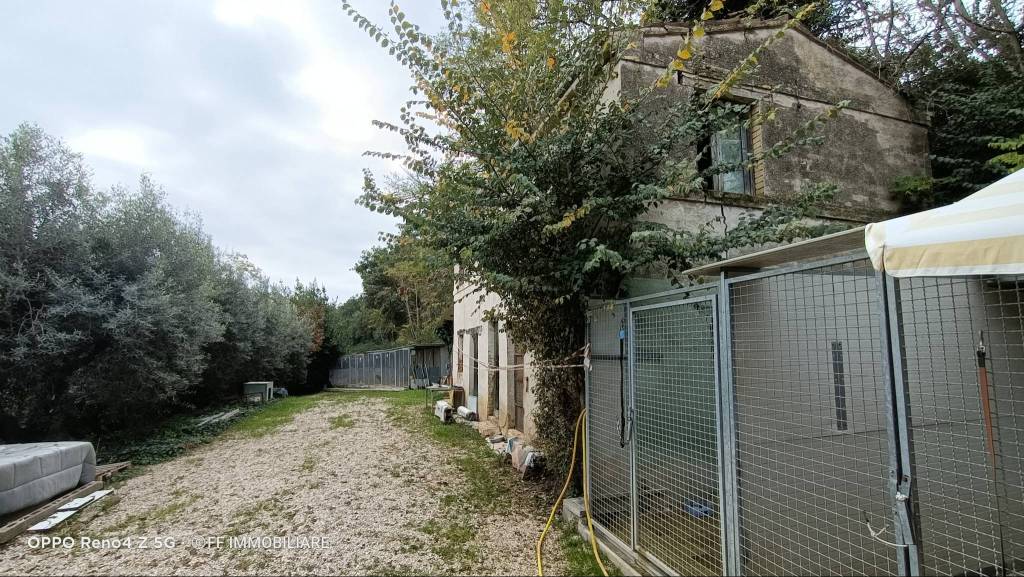 immagine annuncio 11 di 14