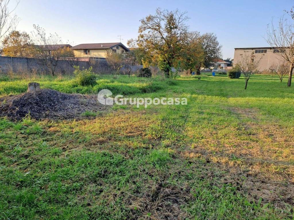 immagine annuncio 10 di 15