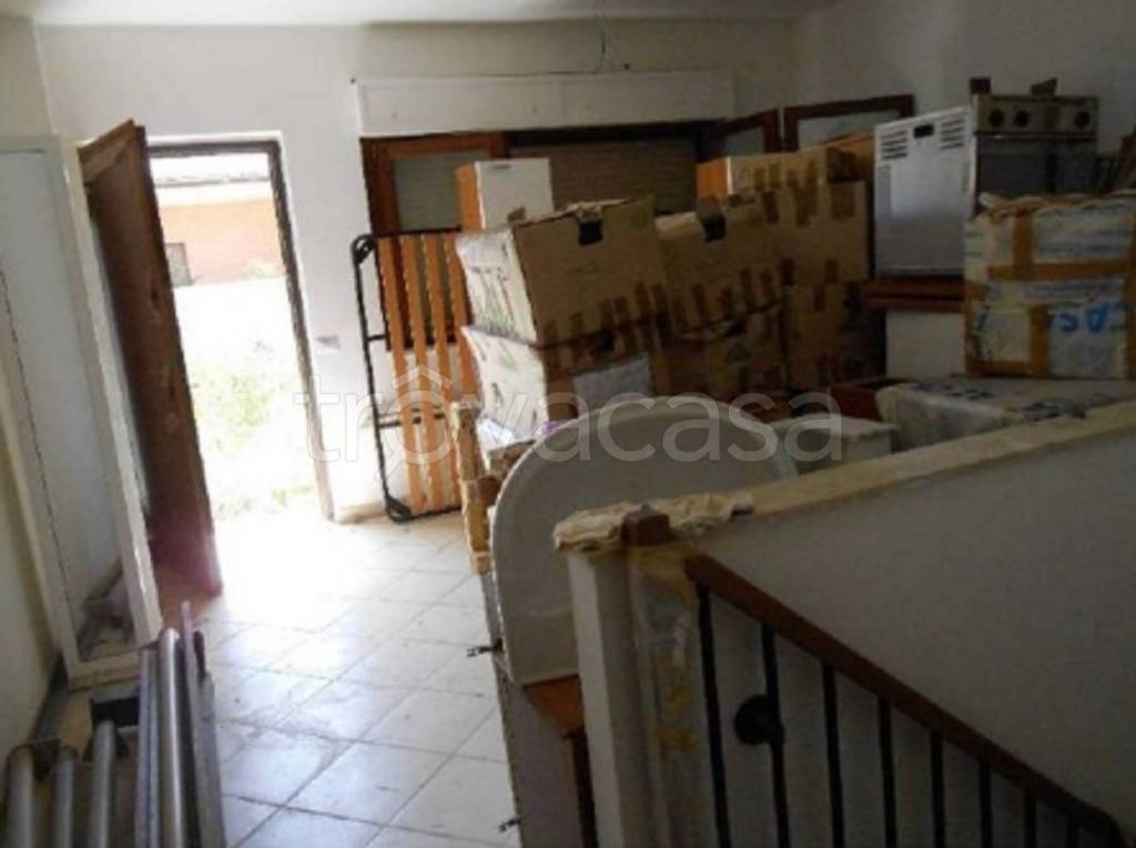 immagine annuncio 5 di 11