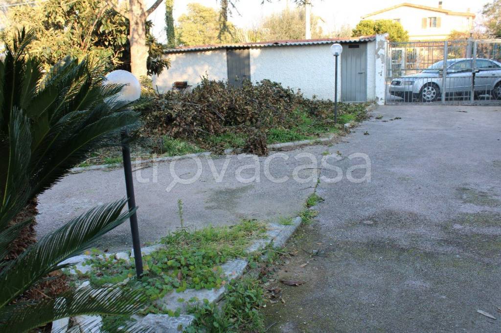 immagine annuncio 5 di 11