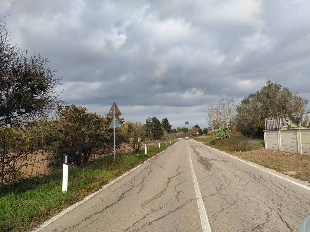 immagine annuncio 2 di 13