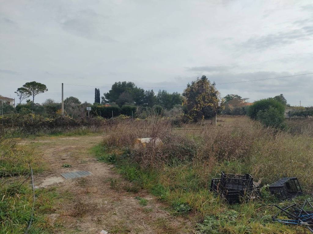 immagine annuncio 3 di 13