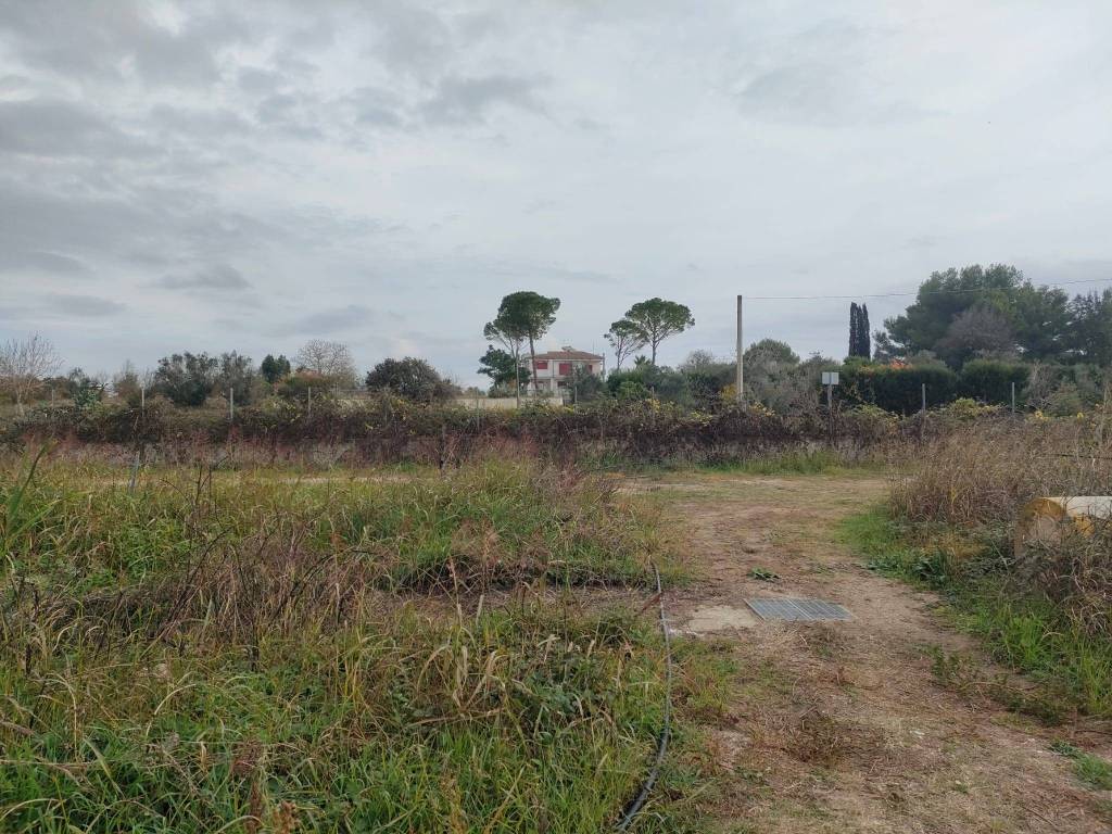 immagine annuncio 9 di 13