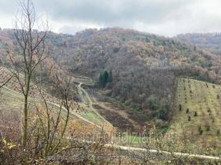 Terreno agricolo all'asta a venarotta zona agricola venarotta