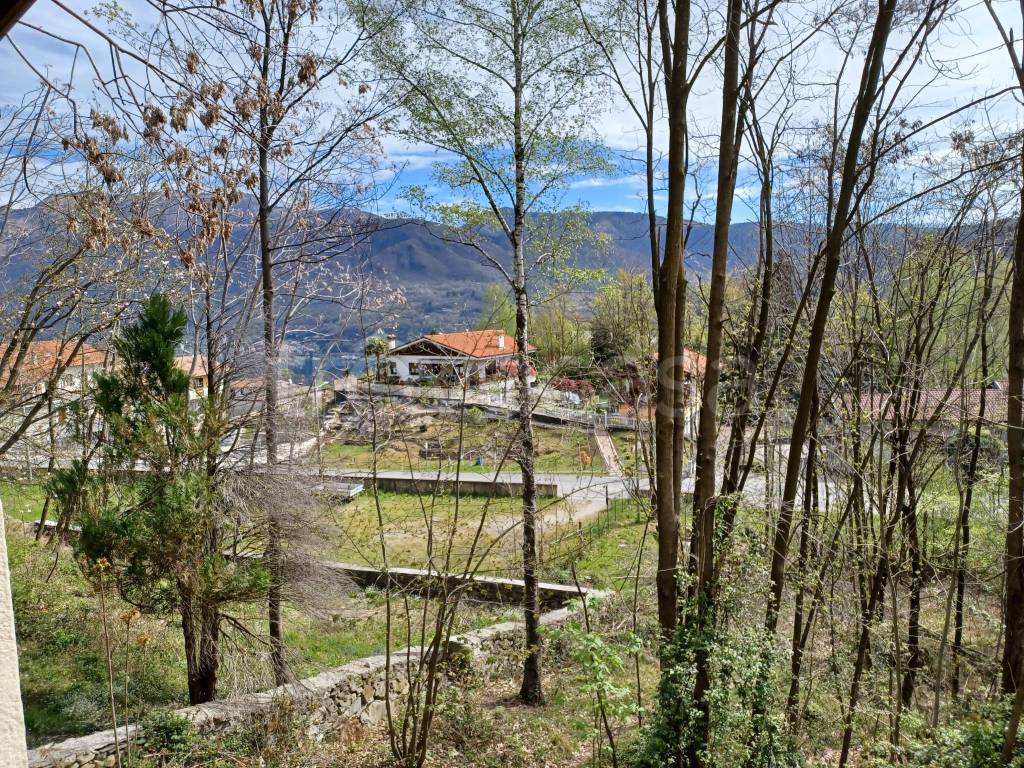 immagine annuncio 7 di 12