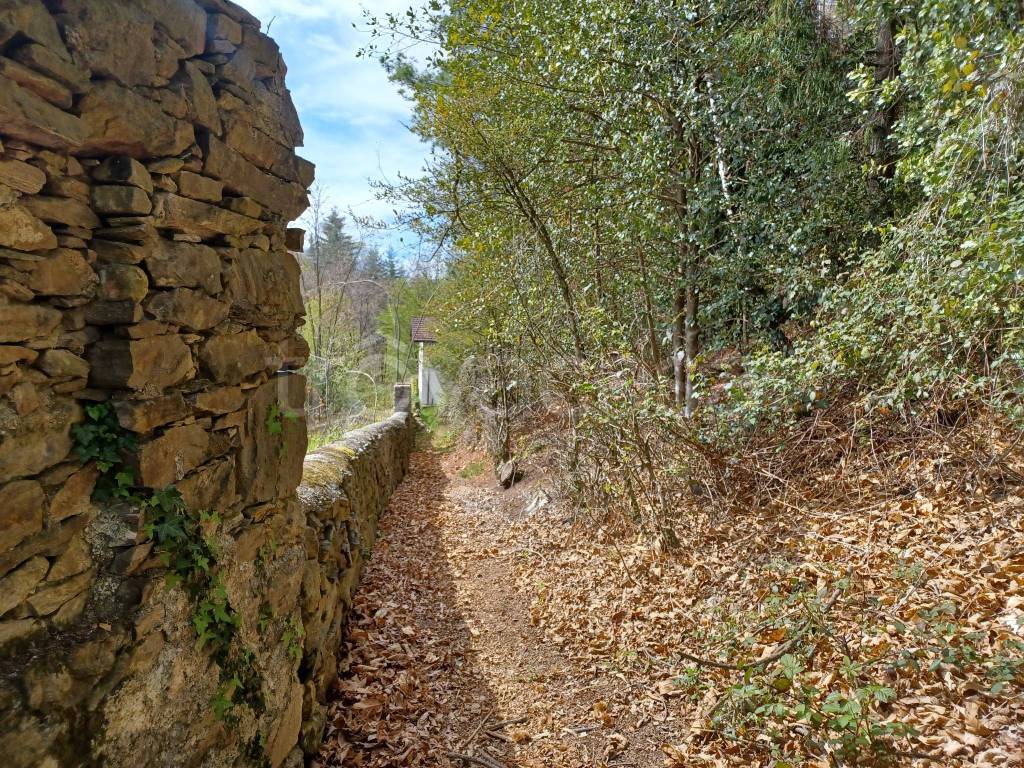 immagine annuncio 8 di 12