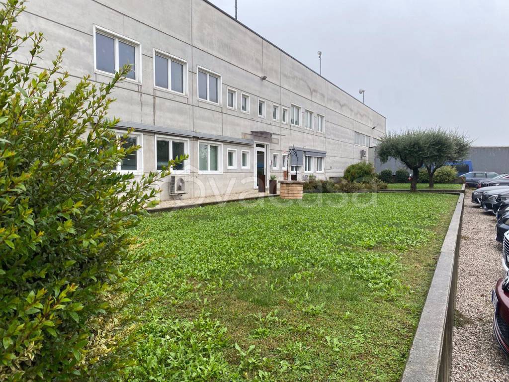 immagine annuncio 3 di 6