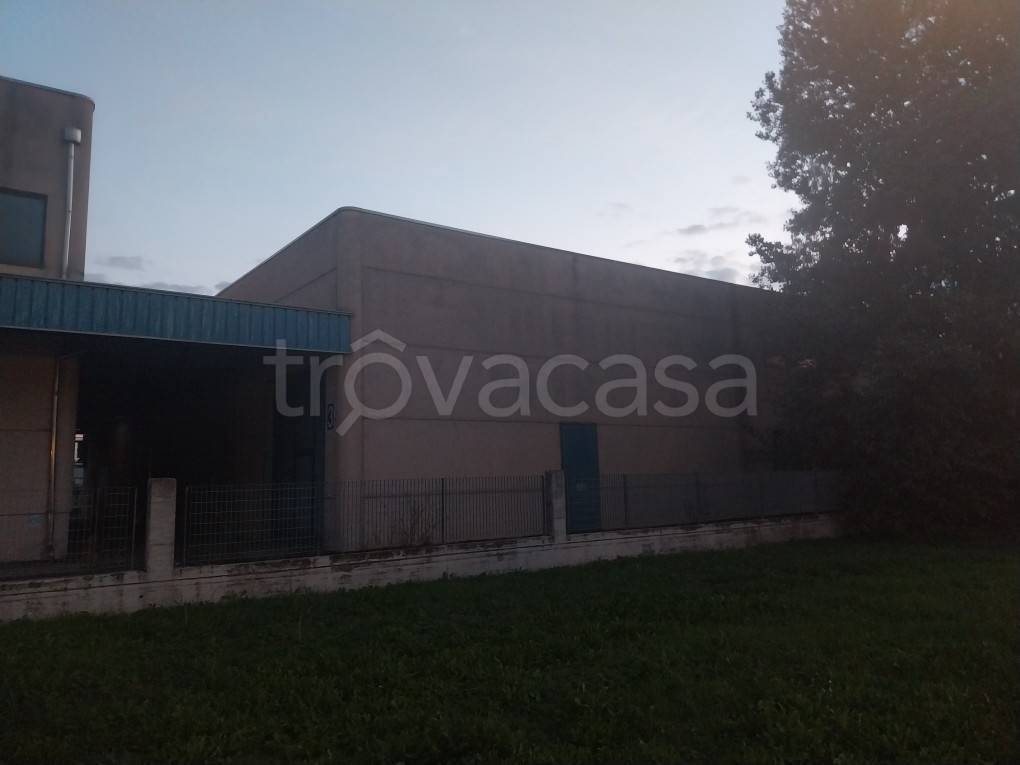 immagine annuncio 4 di 10
