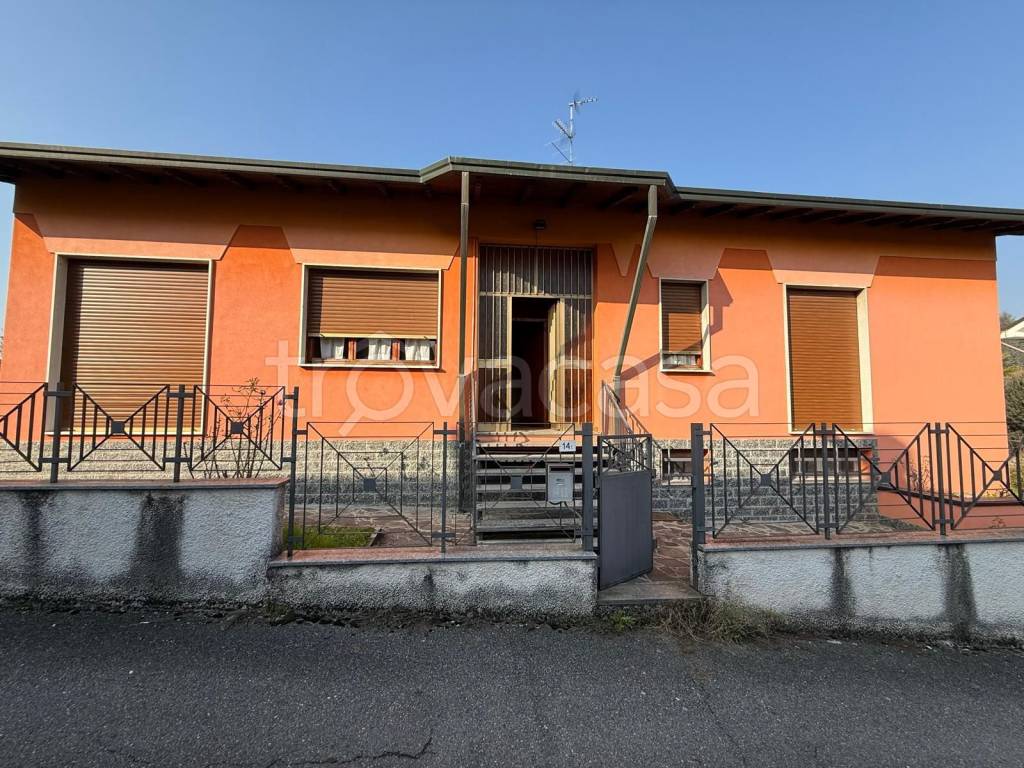 immagine annuncio 1 di 15