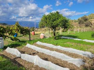 Terreno agricolo in vendita a reggio di calabria pellaro via san filippo