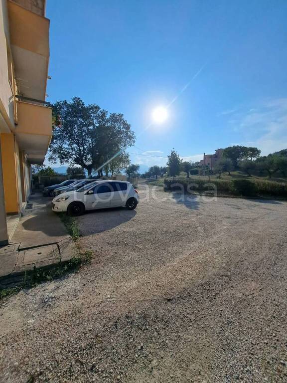 immagine annuncio 9 di 11