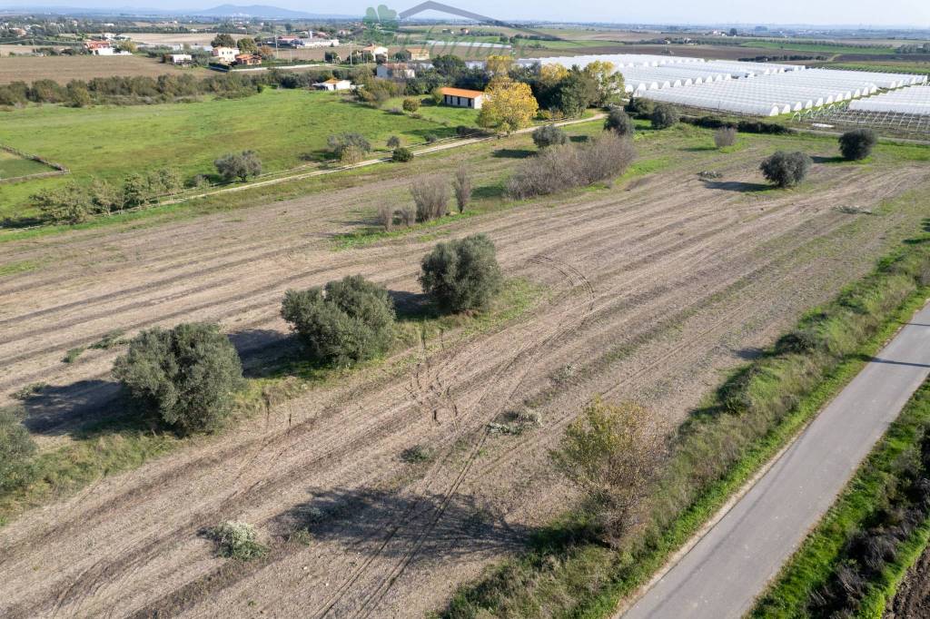 immagine annuncio 9 di 14