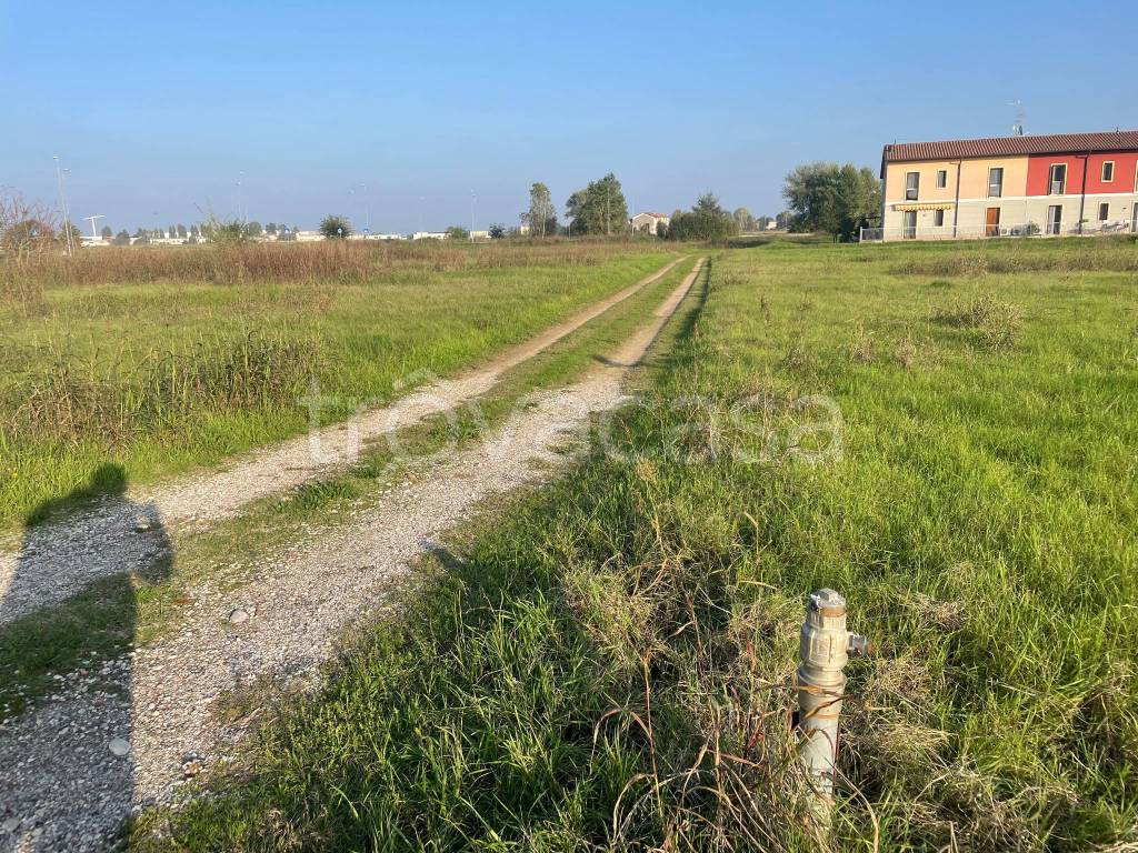 immagine annuncio 3 di 13