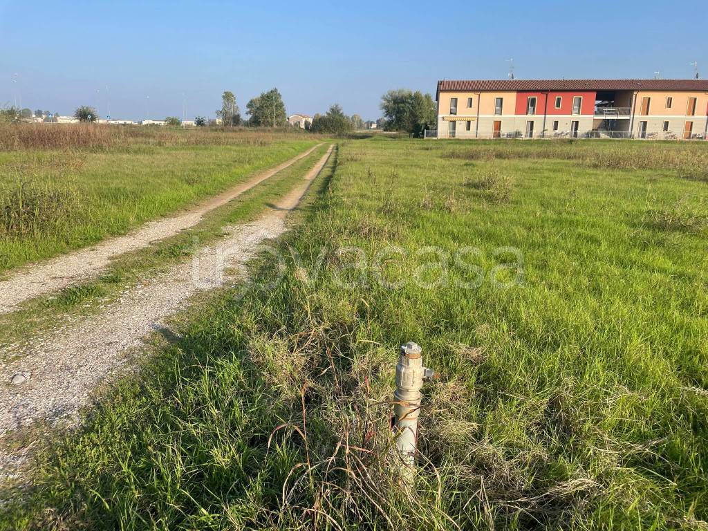 immagine annuncio 4 di 13