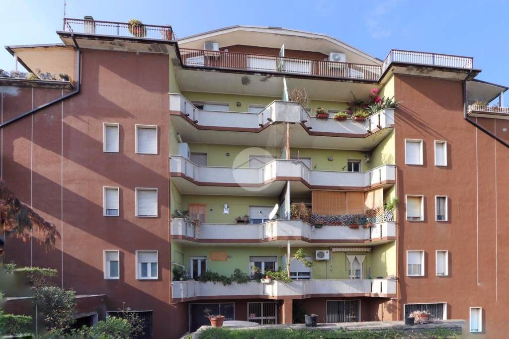 immagine annuncio 11 di 13