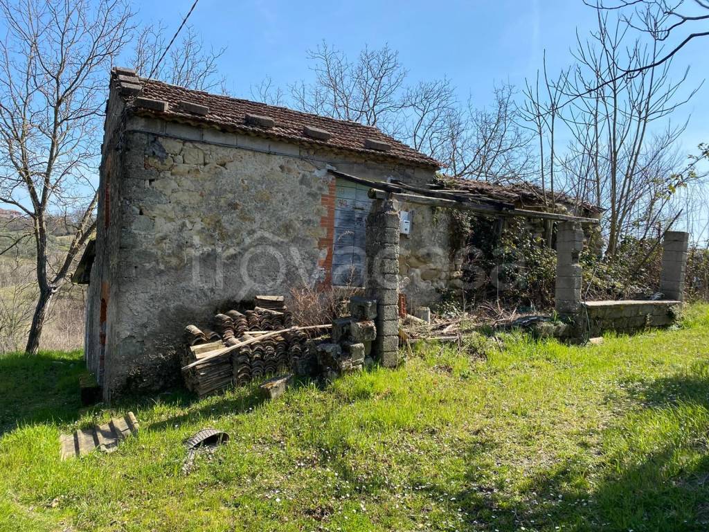 immagine annuncio 4 di 6