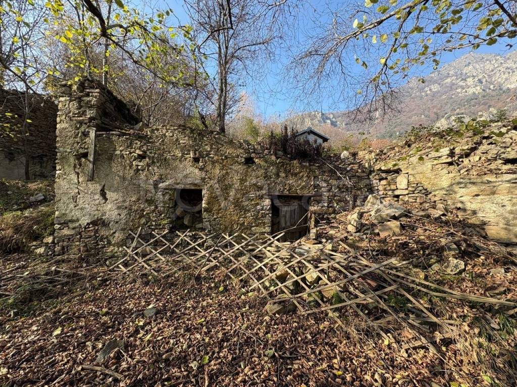 immagine annuncio 4 di 11