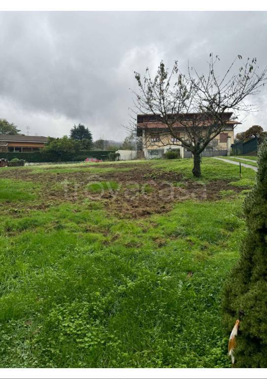 immagine annuncio 3 di 8