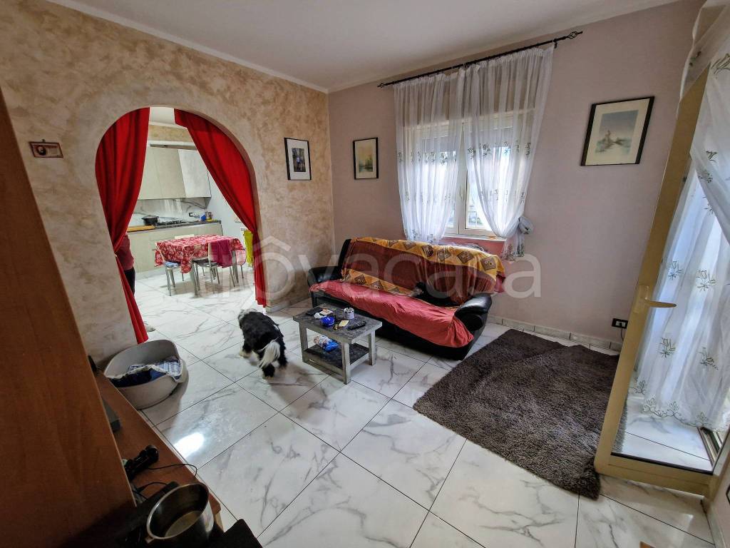 immagine annuncio 1 di 13