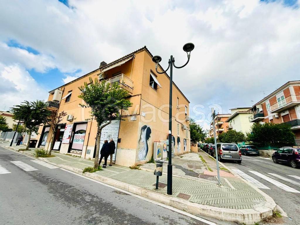 immagine annuncio 11 di 13