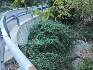 Terreno agricolo in vendita a genova via camaldoli, 27