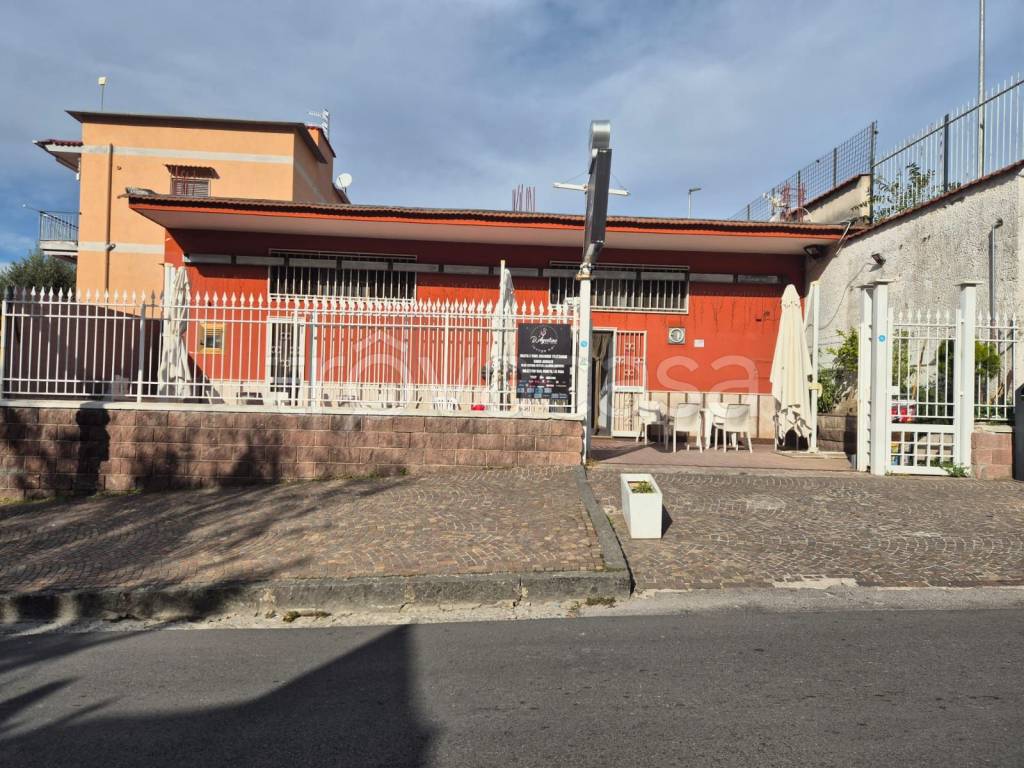 immagine annuncio 2 di 7