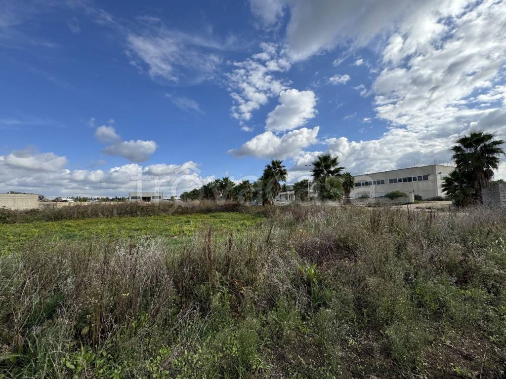 immagine annuncio 3 di 10