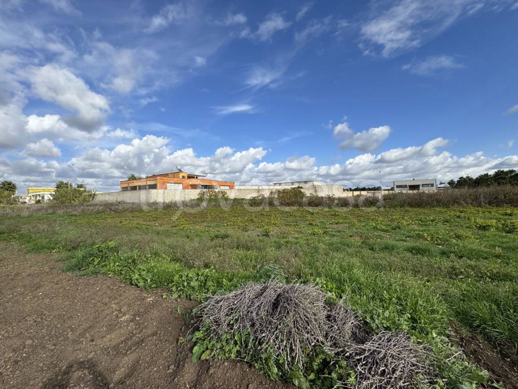 immagine annuncio 4 di 10