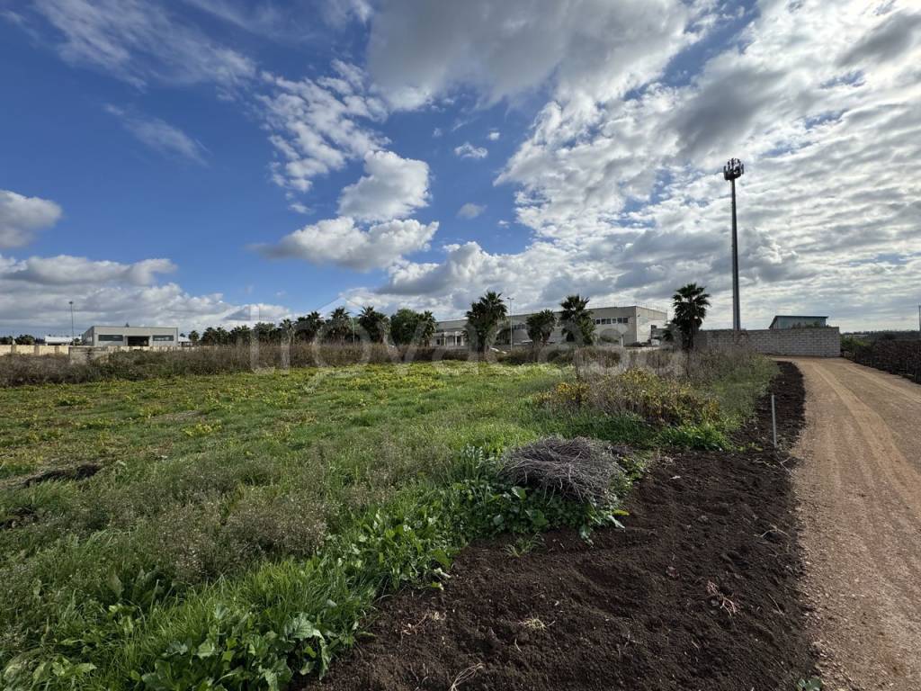 immagine annuncio 7 di 10