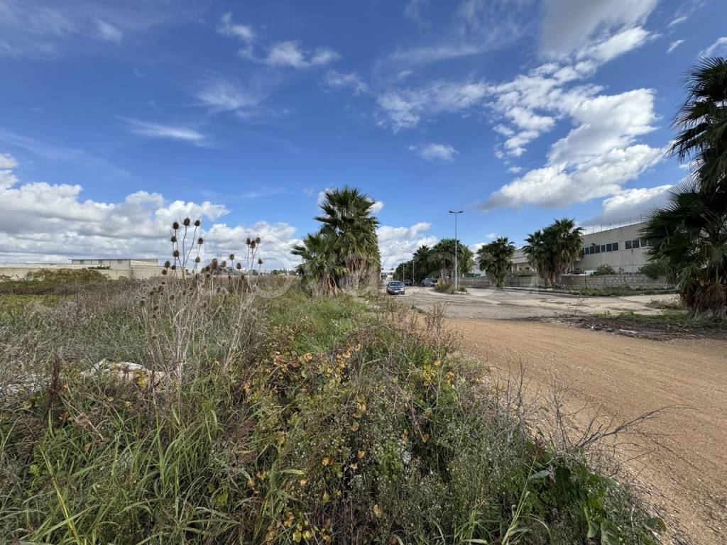 immagine annuncio 8 di 10