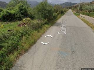 Terreno agricolo all'asta a caulonia contrada foresta