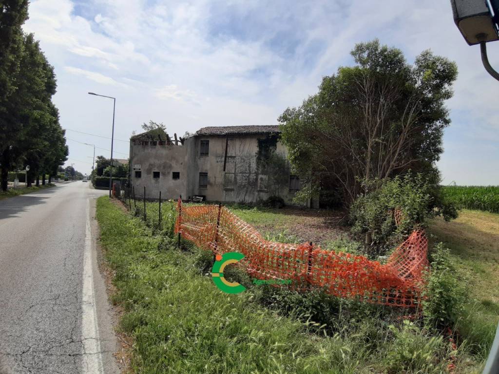 immagine annuncio 3 di 11