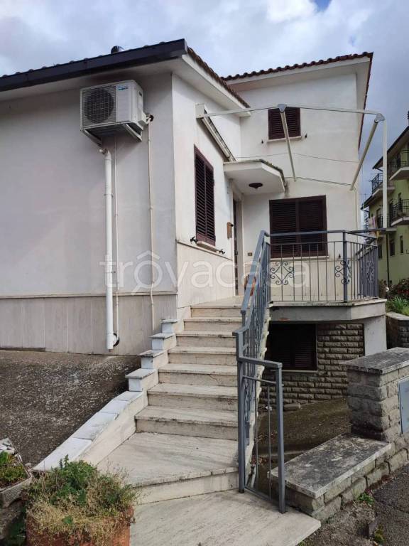 immagine annuncio 6 di 14