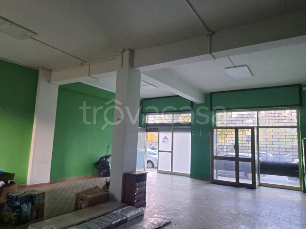 immagine annuncio 4 di 11