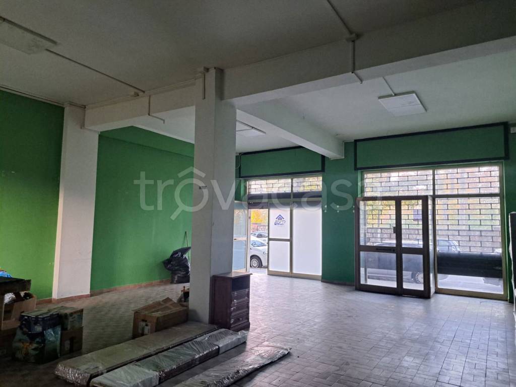 immagine annuncio 6 di 11