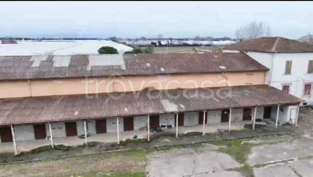 immagine annuncio 9 di 13