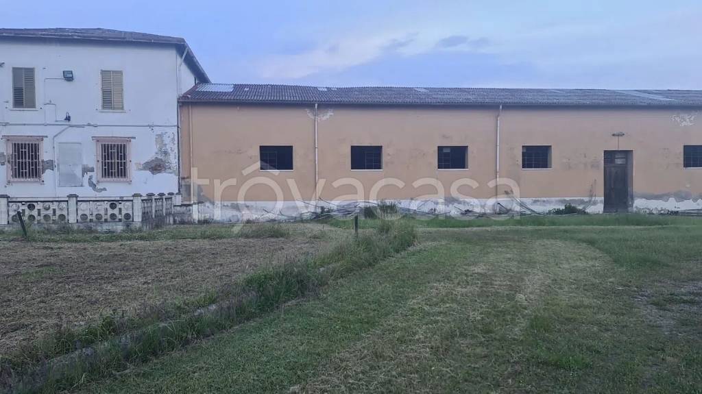 immagine annuncio 12 di 13