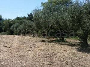 immagine annuncio 8 di 9