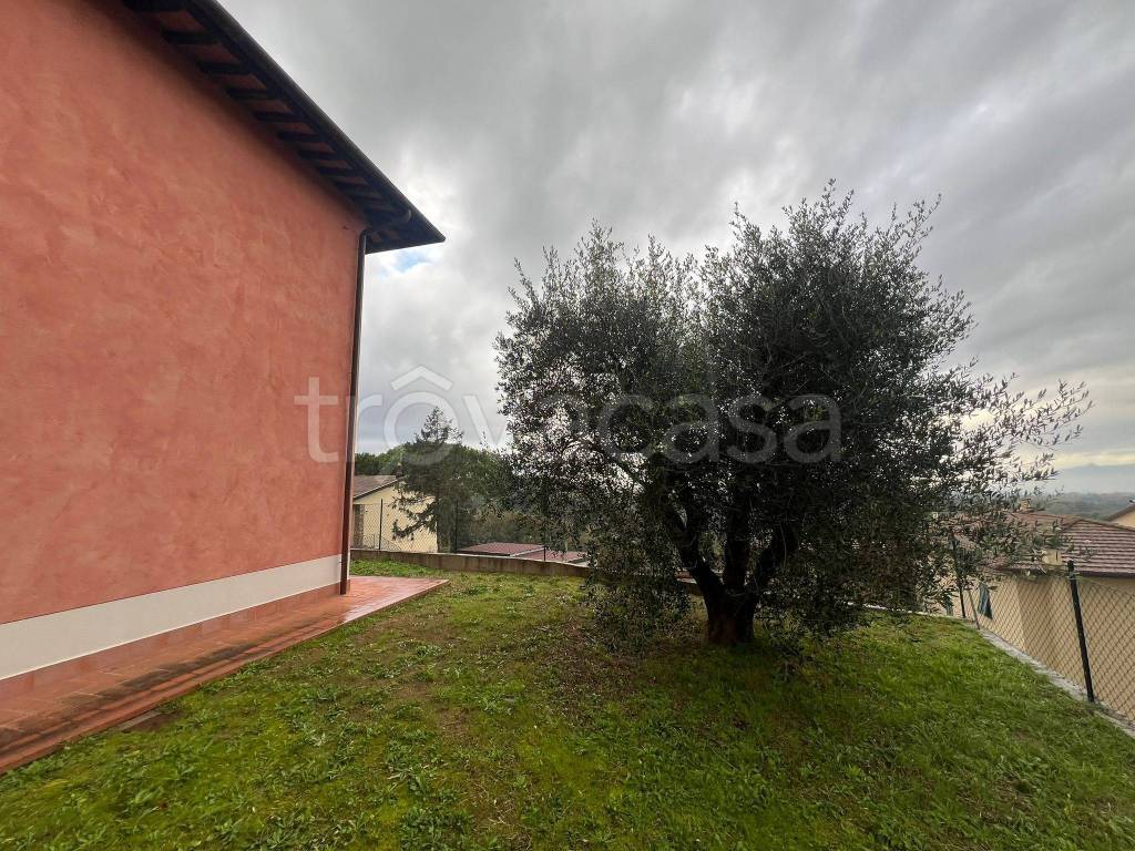 immagine annuncio 2 di 14