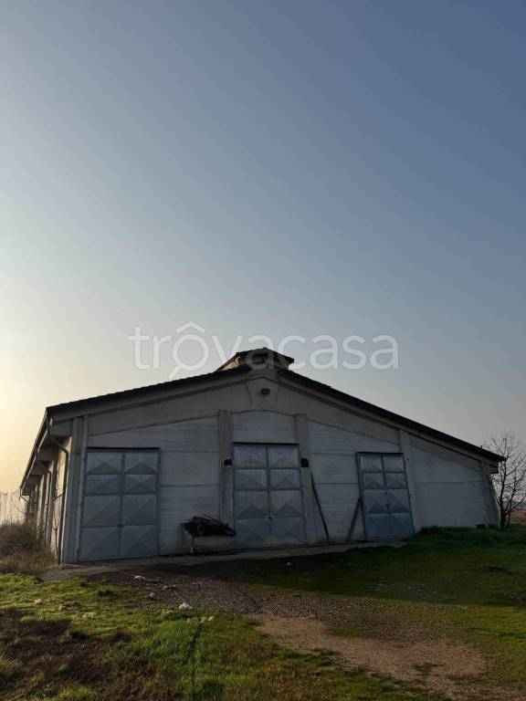 immagine annuncio 3 di 8