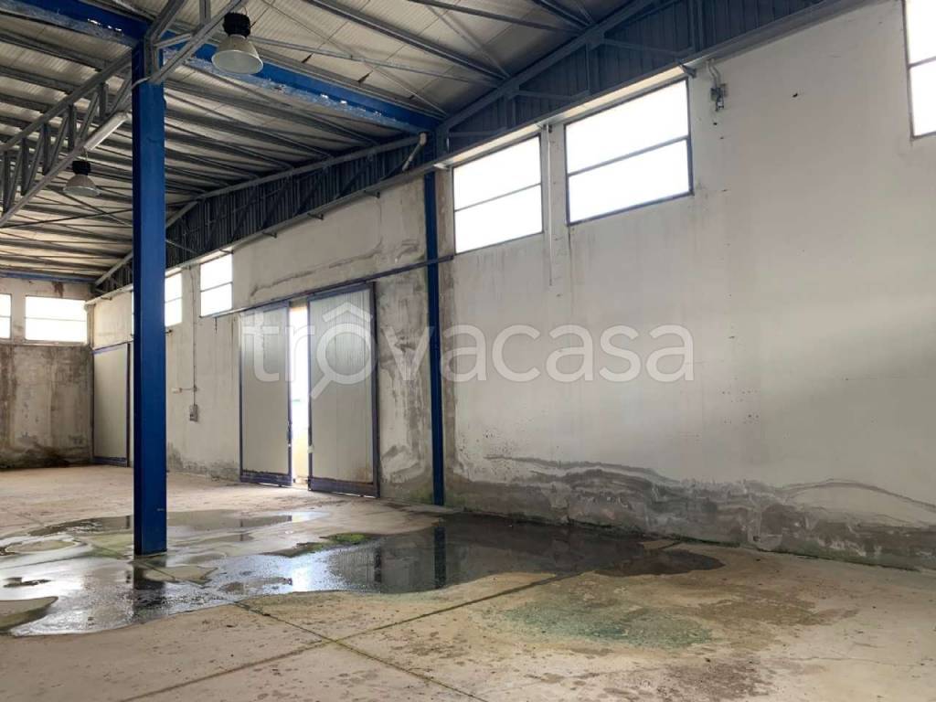 immagine annuncio 7 di 12