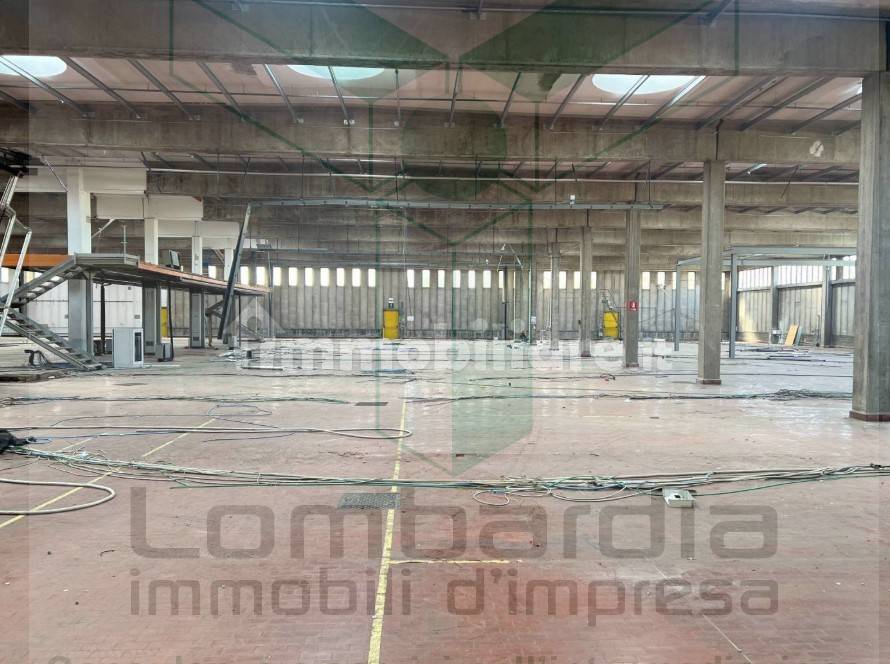 immagine annuncio 3 di 10
