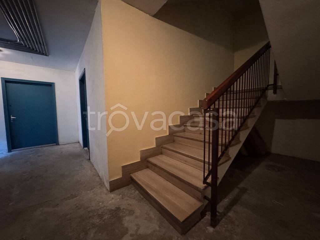 immagine annuncio 5 di 12