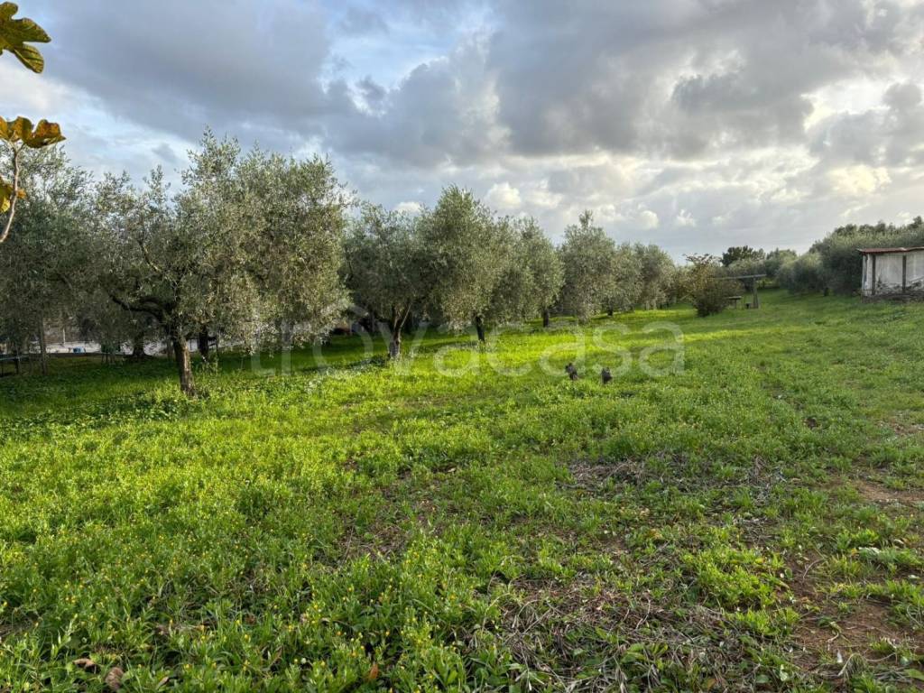 immagine annuncio 1 di 11