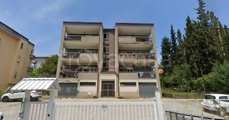 immagine annuncio 2 di 11