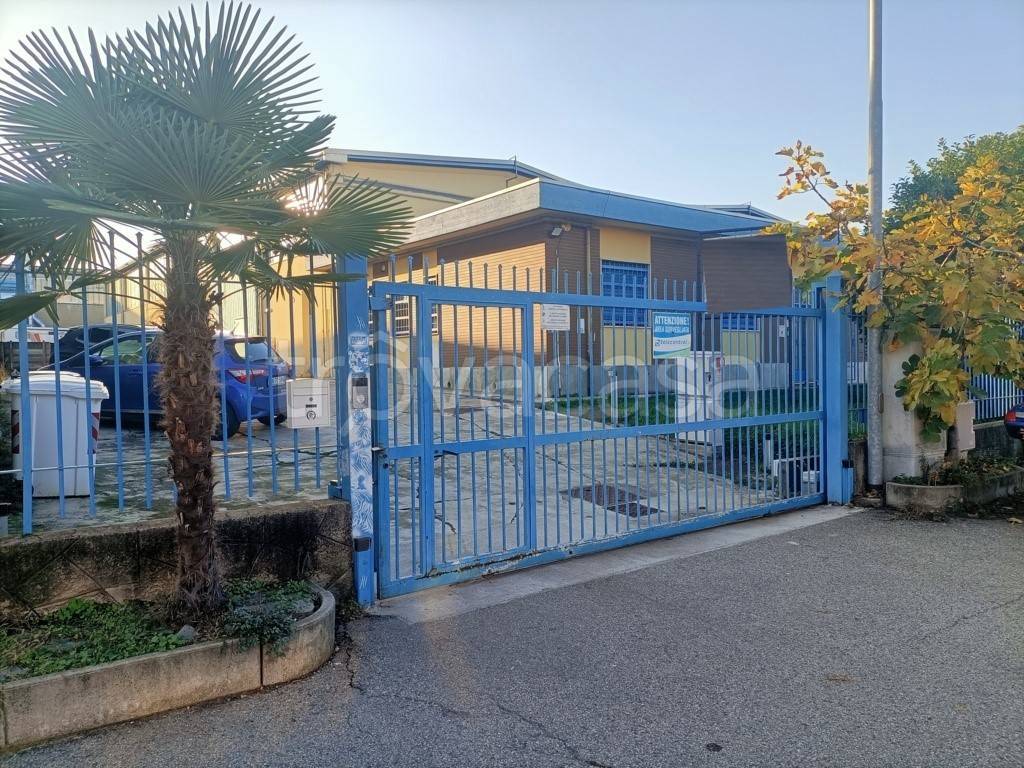 immagine annuncio 2 di 8