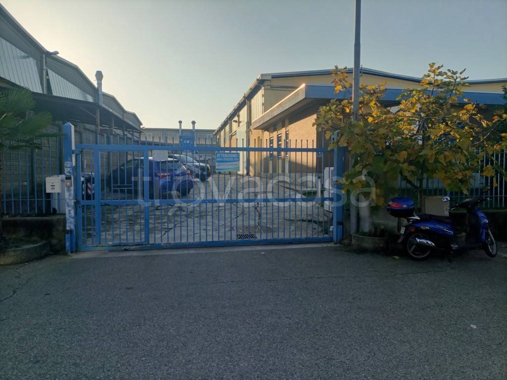 immagine annuncio 3 di 8