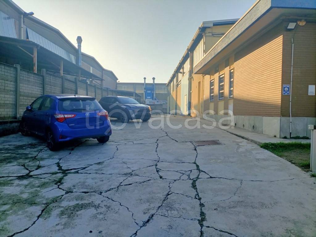 immagine annuncio 5 di 8